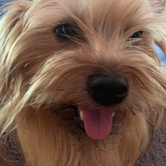 Meet your Posher, Chris - Picture 2 of 2